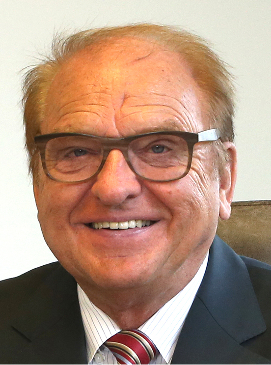 Prof. Dr. Horst Wildemann